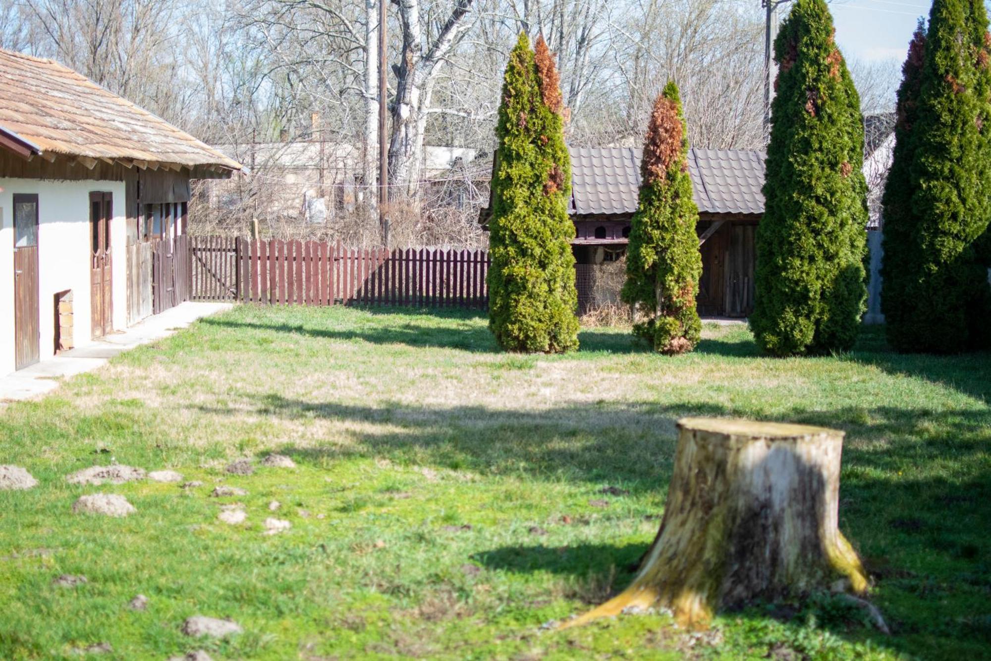 Villa Flora Kiskunmajsa Exterior foto